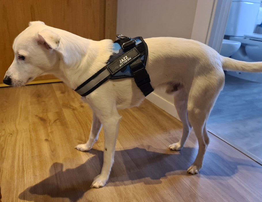 Pet Customized Reflective Breathable Harness